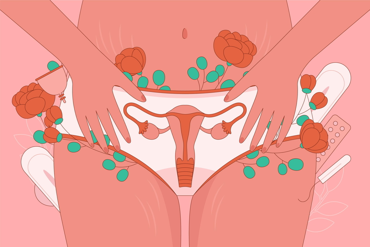 Ilustrație a aparatului reproducător feminin, cu produse menstruale, pentru articol despre candidoză.